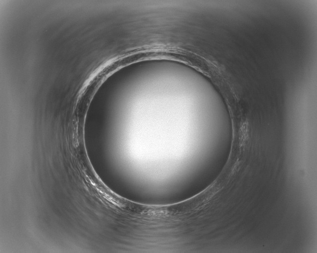 X0000086041310200703301029