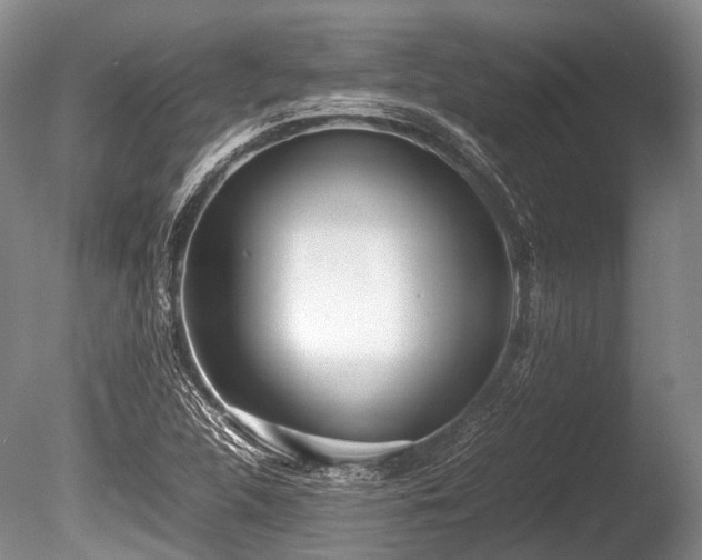 X0000086041312200703301029