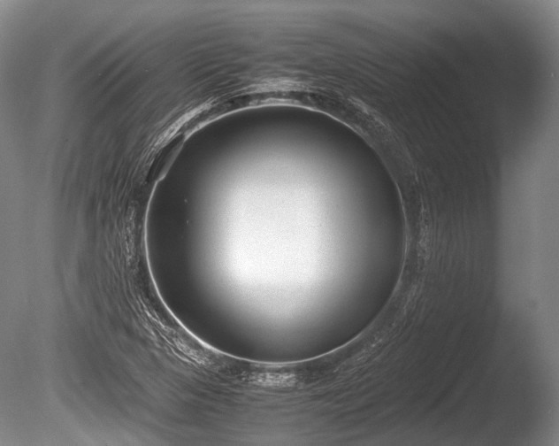 X0000086041313200703301029