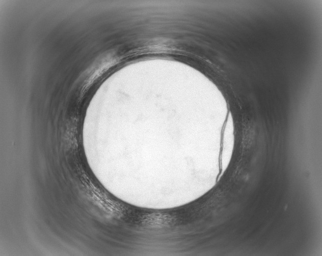 X0000086041314200703301029