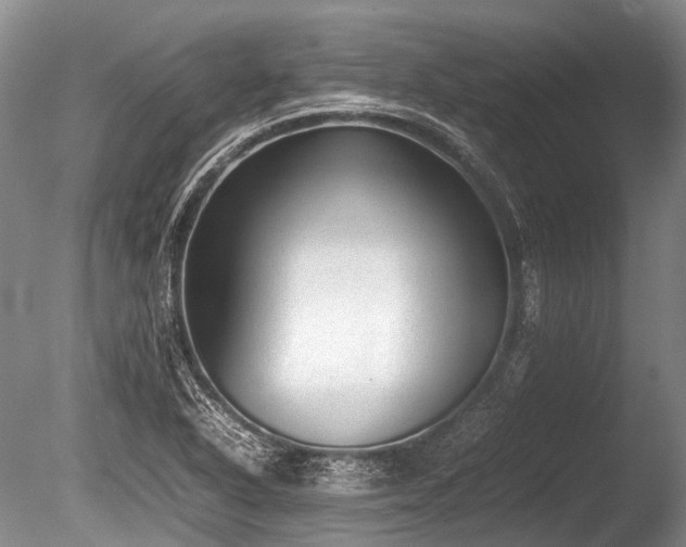 X0000086041318200703301029