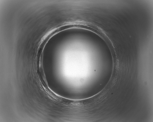 X0000086041320200703301029