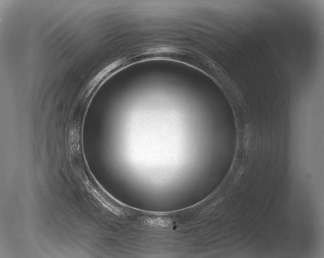 X0000086041321200703301029