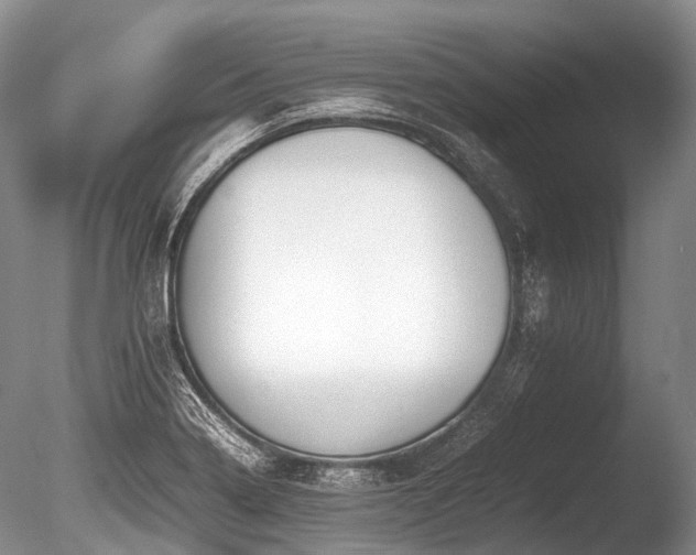 X0000086041322200703301029
