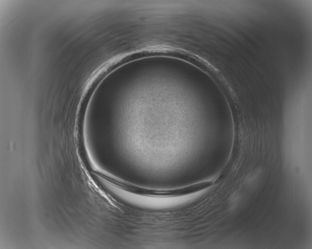 X0000086041327200703301029