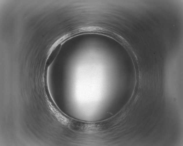 X0000086041330200703301029
