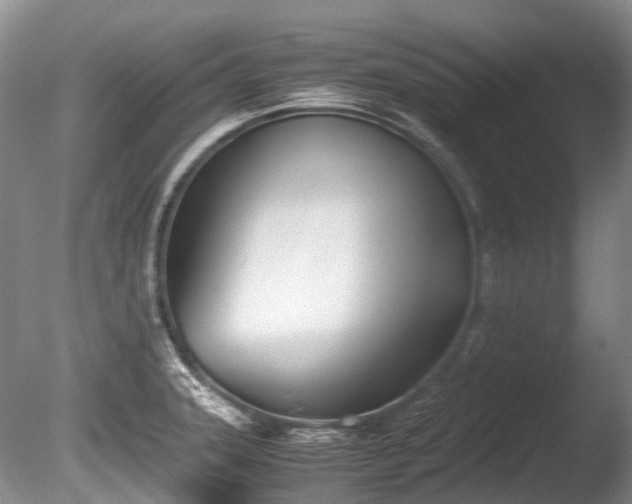 X0000086041331200703301029
