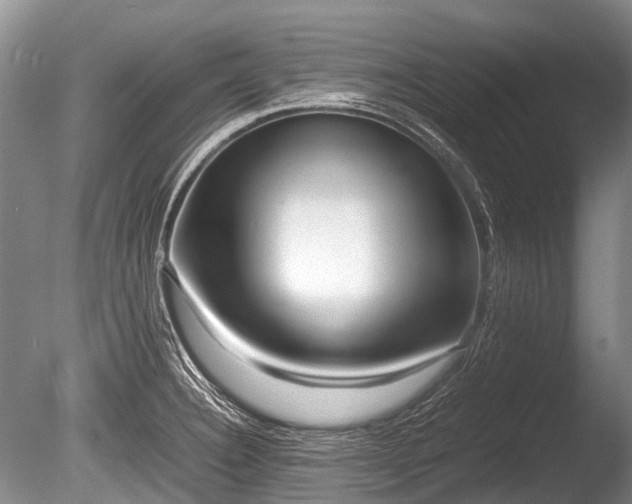 X0000086041332200703301029