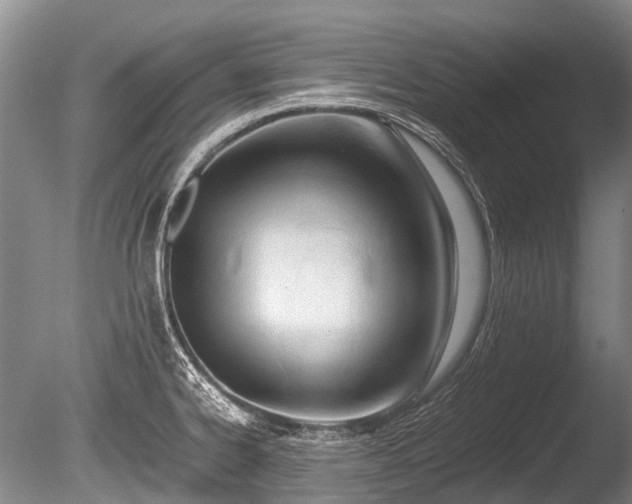 X0000086041334200703301029