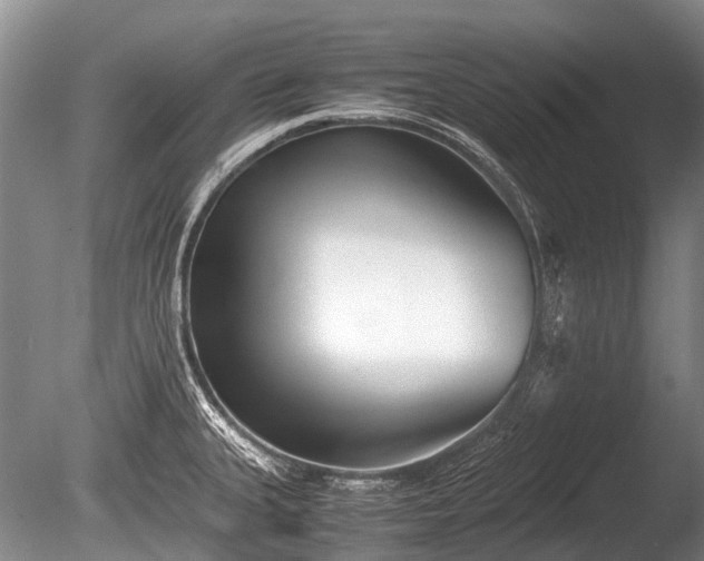 X0000086041335200703301029