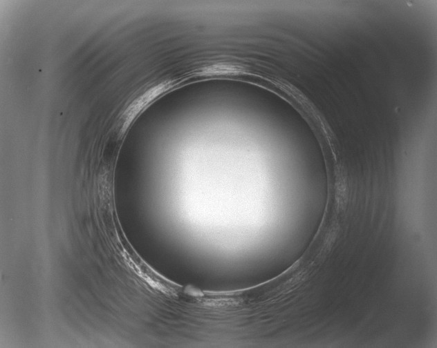 X0000086041337200703301029