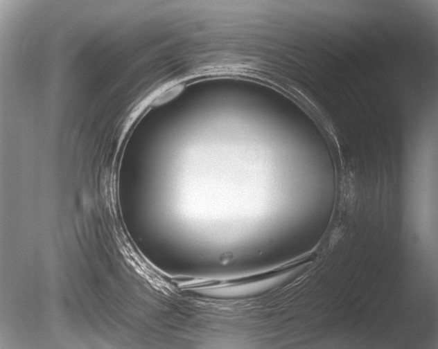 X0000086041340200703301029
