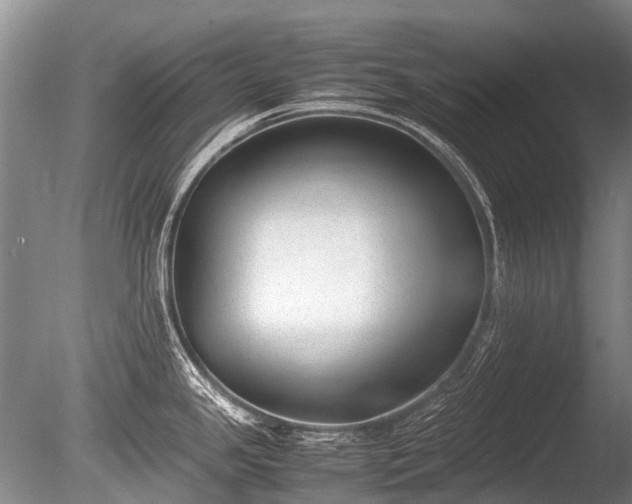 X0000086041341200703301029