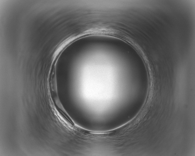 X0000086041344200703301029