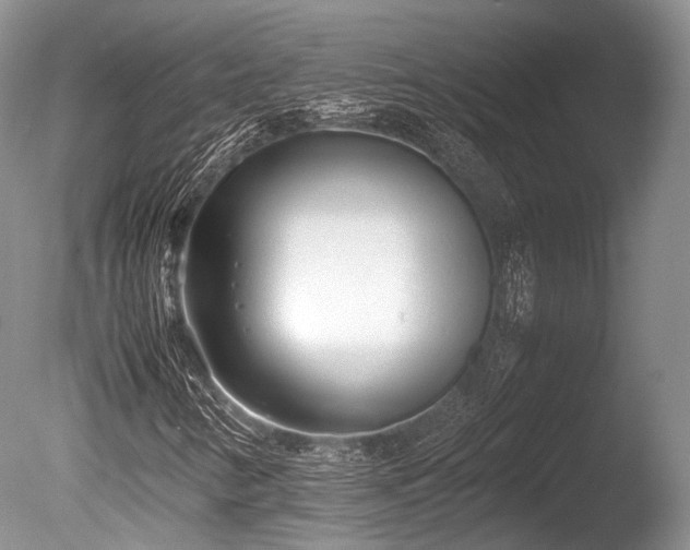 X0000086041346200703301028