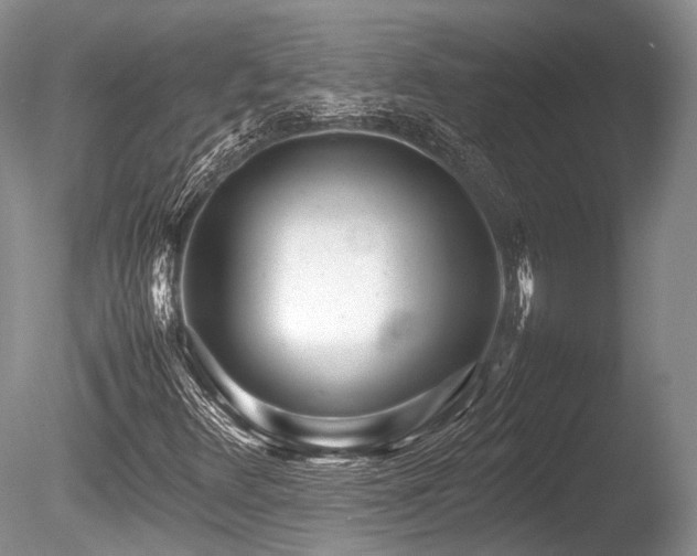 X0000086041348200703301028