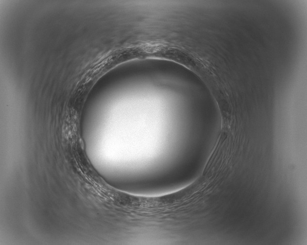 X0000086041349200703301028