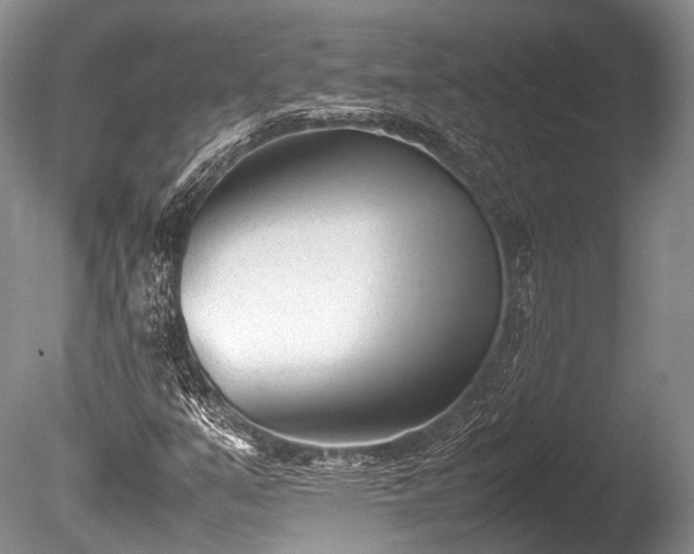 X0000086041351200703301028