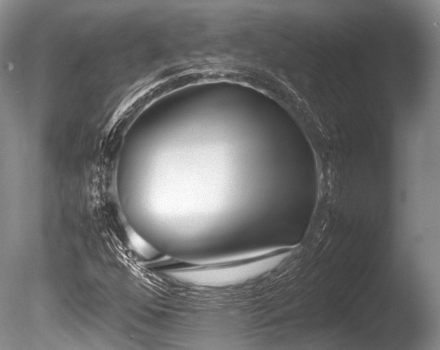 X0000086041352200703301028