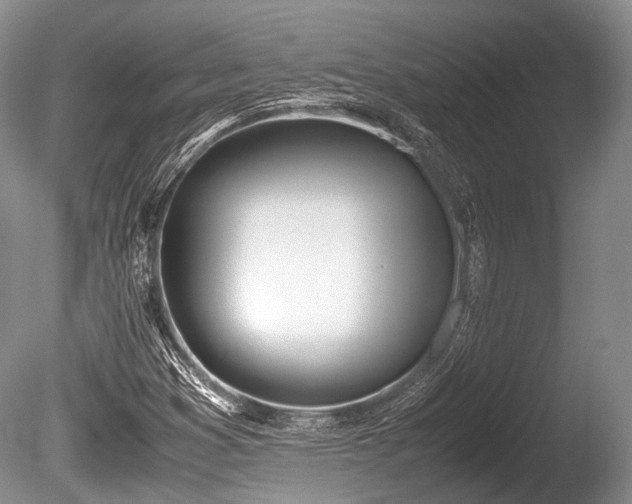 X0000086041353200703301028