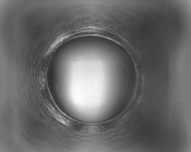 X0000086041355200703301028