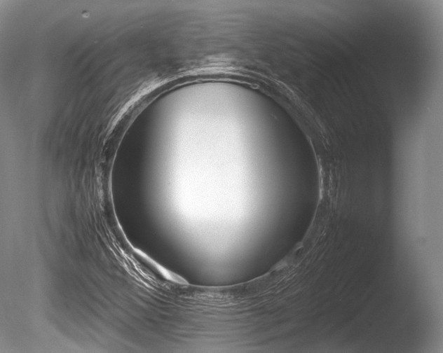 X0000086041356200703301028