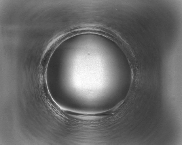 X0000086041360200703301028