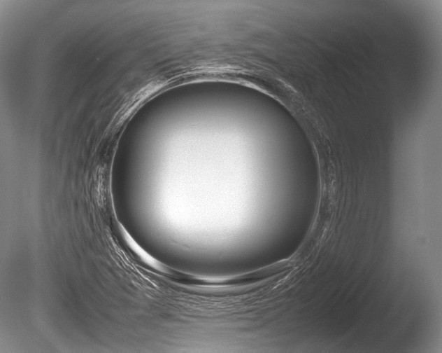 X0000086041361200703301028