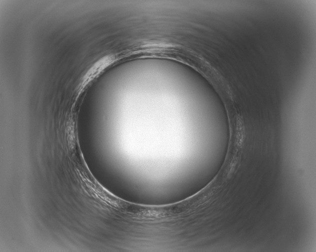 X0000086041362200703301028