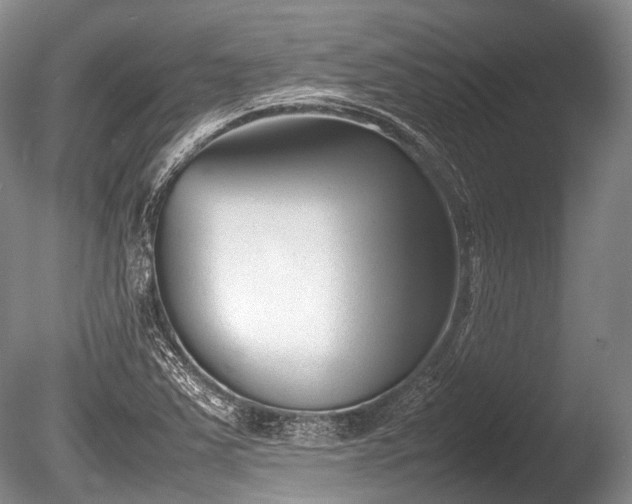 X0000086041363200703301028