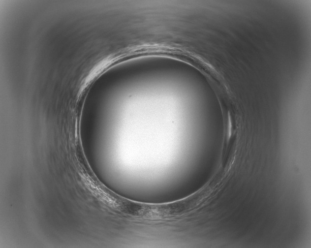 X0000086041365200703301028