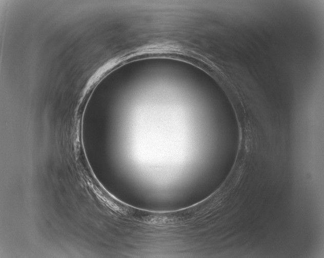 X0000086041366200703301028