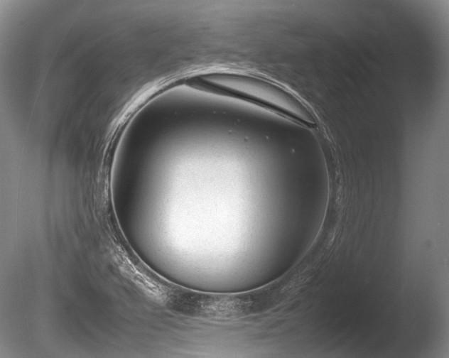 X0000086041367200703301028