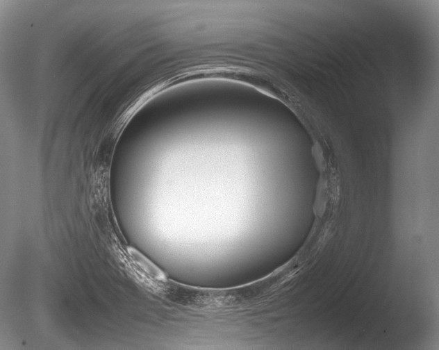 X0000086041369200703301028