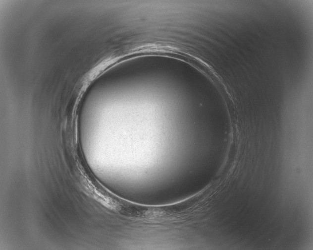 X0000086041371200703301028