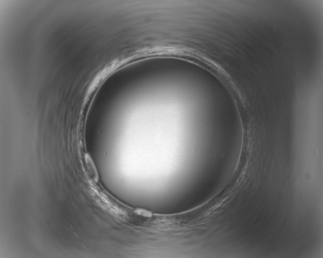 X0000086041373200703301028