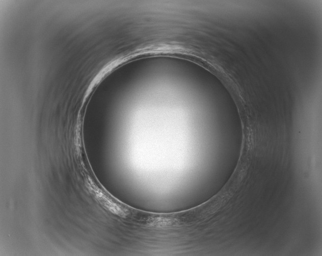 X0000086041374200703301028