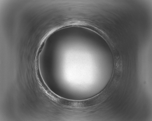 X0000086041375200703301028