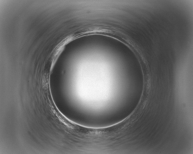 X0000086041377200703301028
