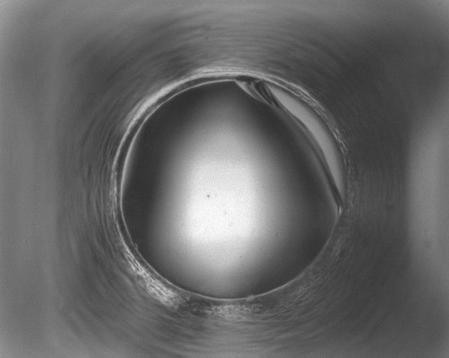 X0000086041380200703301028