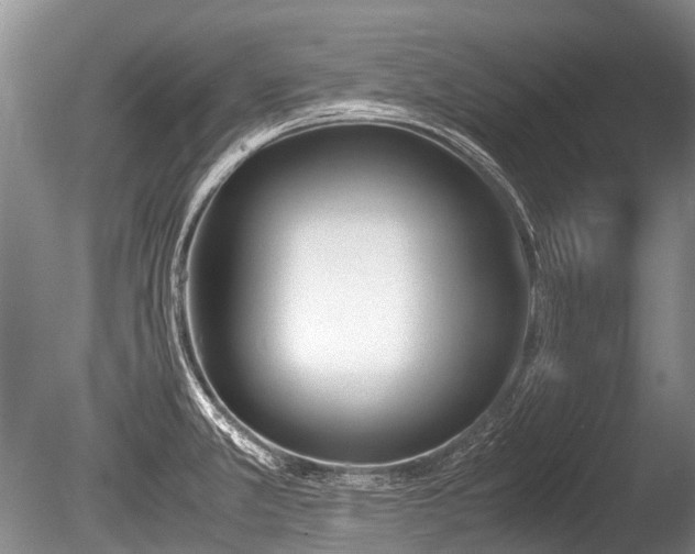 X0000086041381200703301028