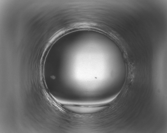 X0000086041384200703301028