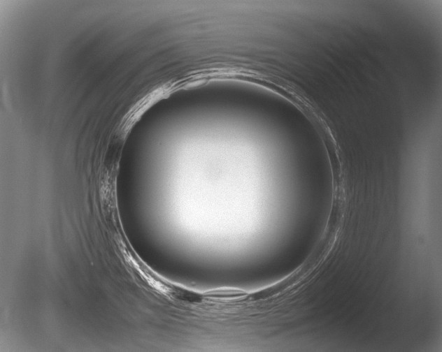 X0000086041385200703301028