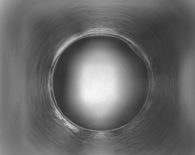 X0000086041390200703301028