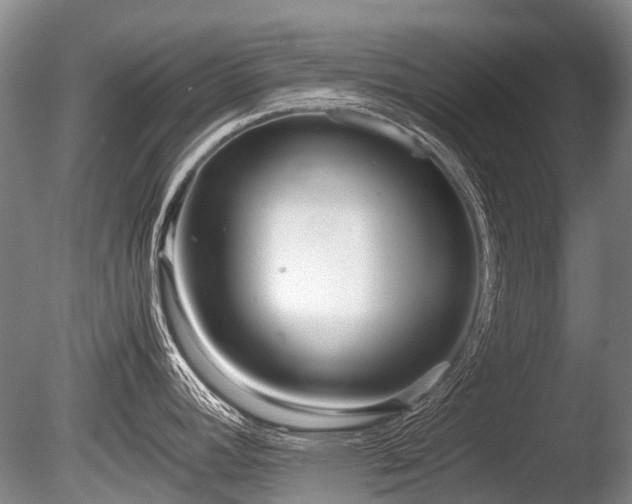 X0000086041392200703301028