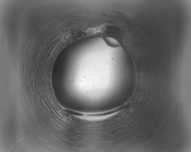 X0000086041393200703301027