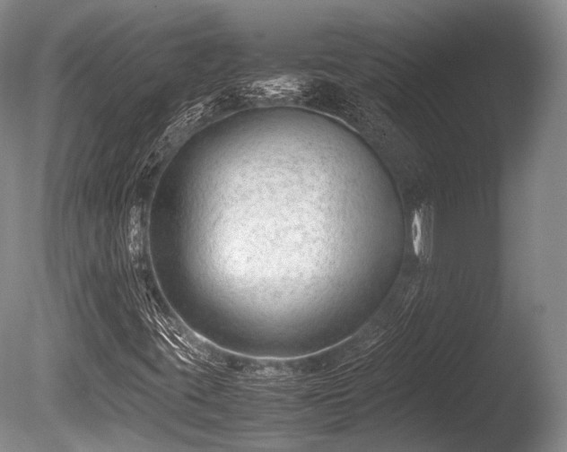 X0000086041395200703301027
