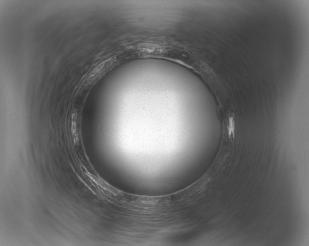 X0000086041396200703301027