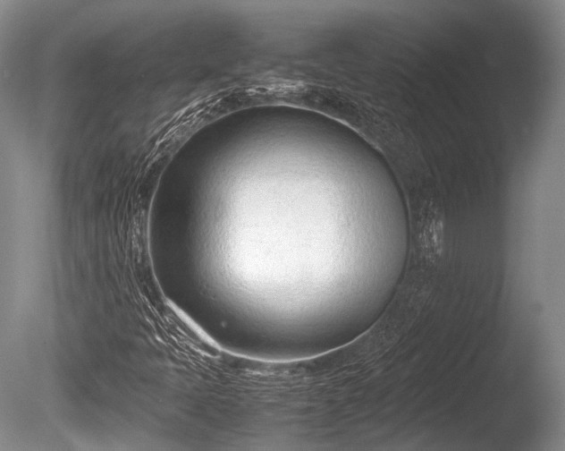 X0000086041397200703301027
