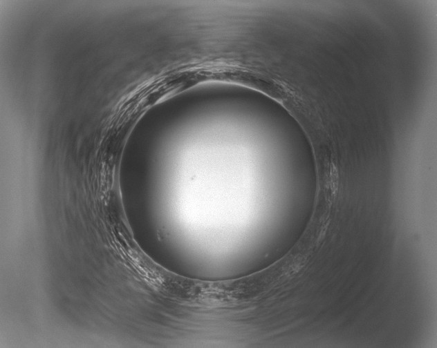 X0000086041398200703301027